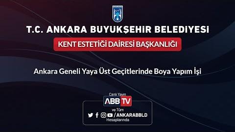 KENT ESTETİĞİ DAİRESİ BAŞKANLIĞI Ankara Geneli Yaya Üst Geçitlerinde Boya Yapım İşi