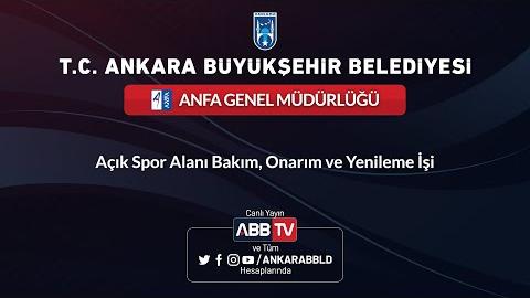 ANFA GENEL MÜDÜRLÜĞÜ Açık Spor Alanı Bakım, Onarım ve Yenileme işi