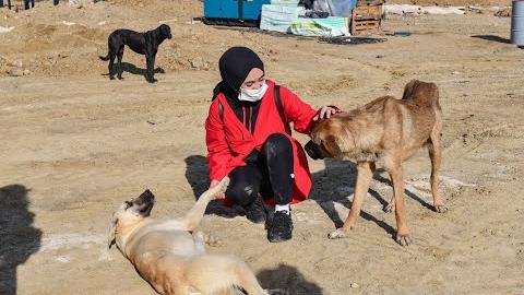 BAŞKENT’TE CAN DOSTLAR YENİ YUVASINA KAVUŞACAK