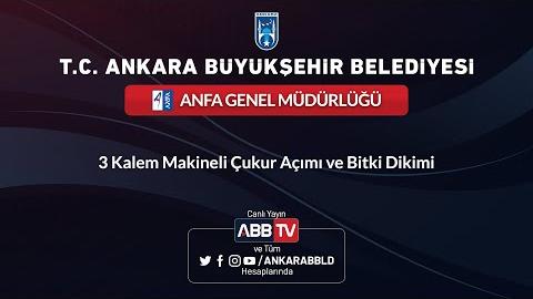 ANFA GENEL MÜDÜRLÜĞÜ - 3 Kalem Makineli Çukur Açımı ve Bitki Dikimi