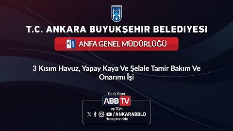 ANFA GENEL MÜDÜRLÜĞÜ - 3 Kısım Havuz, Yapay Kaya ve Şelale Tamir Bakım ve Onarımı İşi