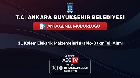 ANFA GENEL MÜDÜRLÜĞÜ - 11 Kalem Elektrik Malzemeleri (Kablo-Bakır Tel) Alımı